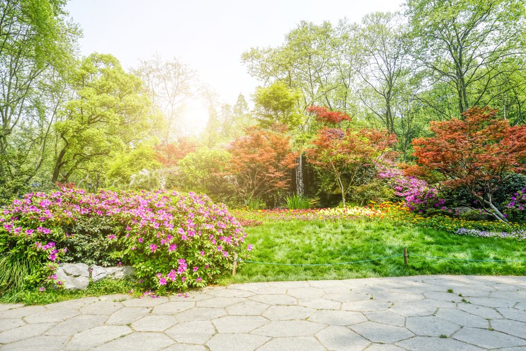 Jardin avec massif de fleurs
