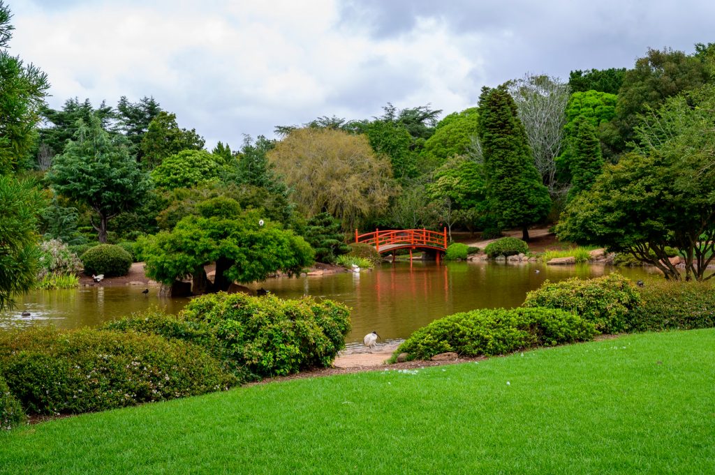 Jardin paysager