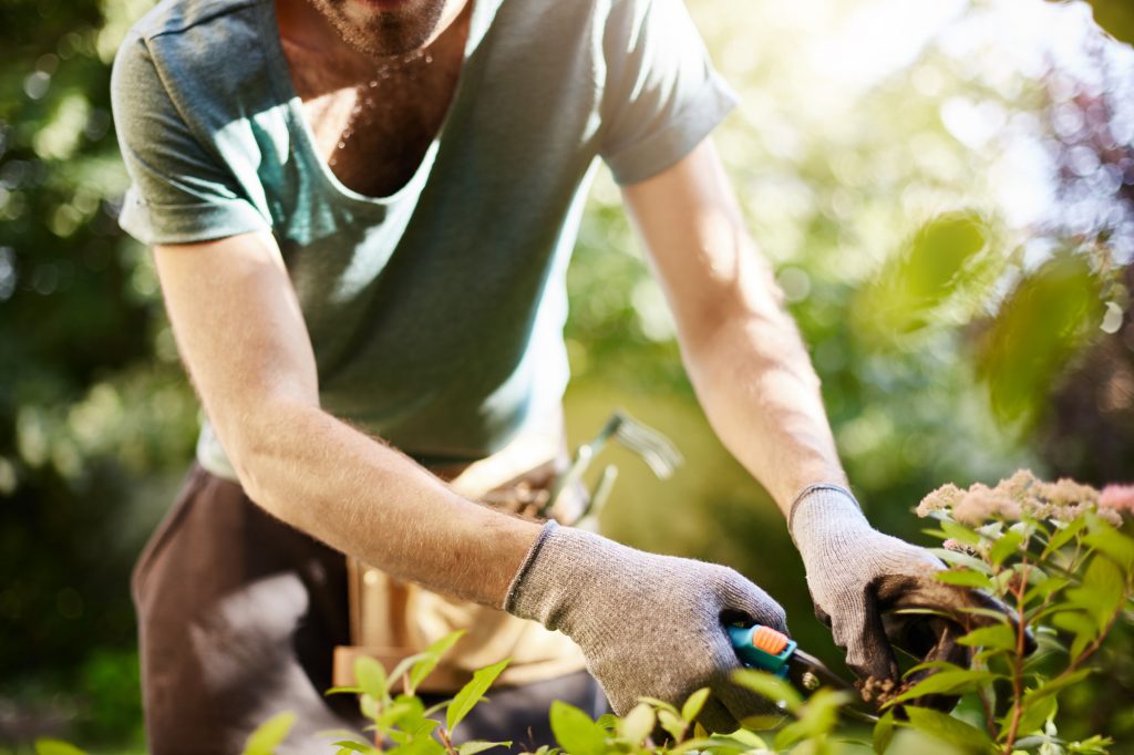 Entretiens de jardin