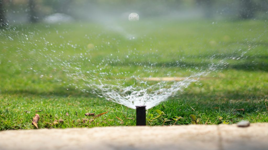 système d'arrosage automatique goutte à goutte