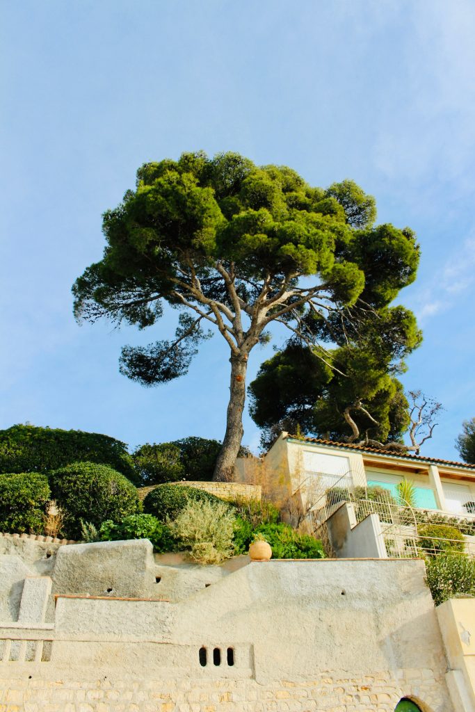 Devis création jardin paysagiste à Marseille la Valentine (13011)